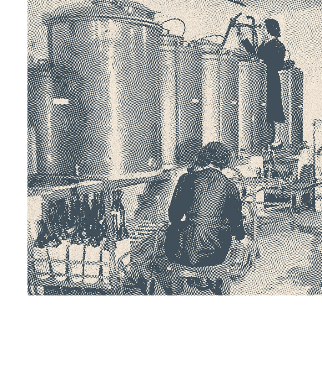 pallini 1922 