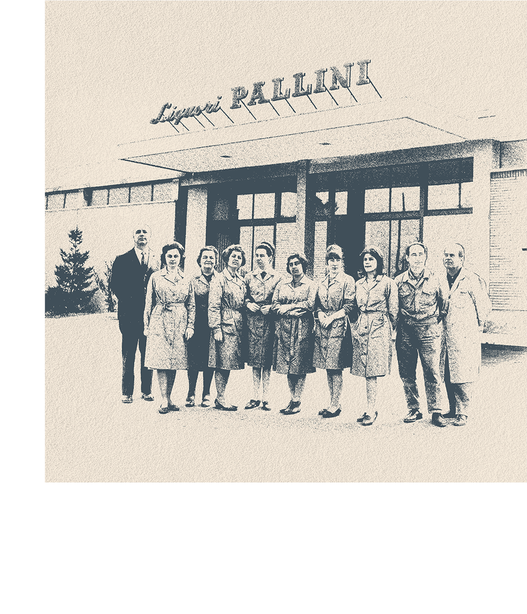 pallini 1962 
